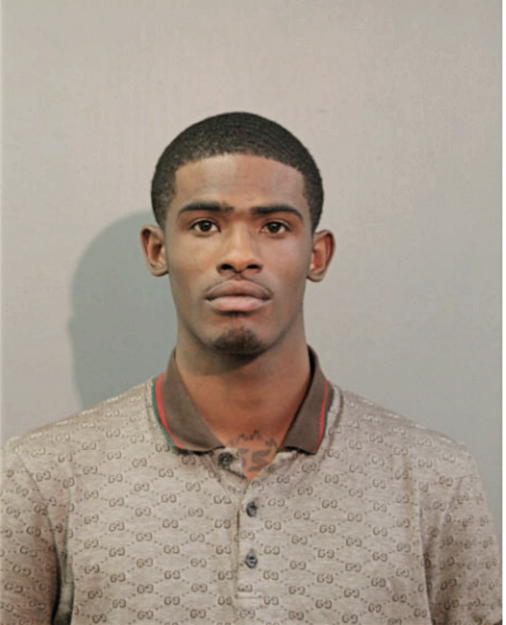 ERIC K LEMON, Cook County, Illinois