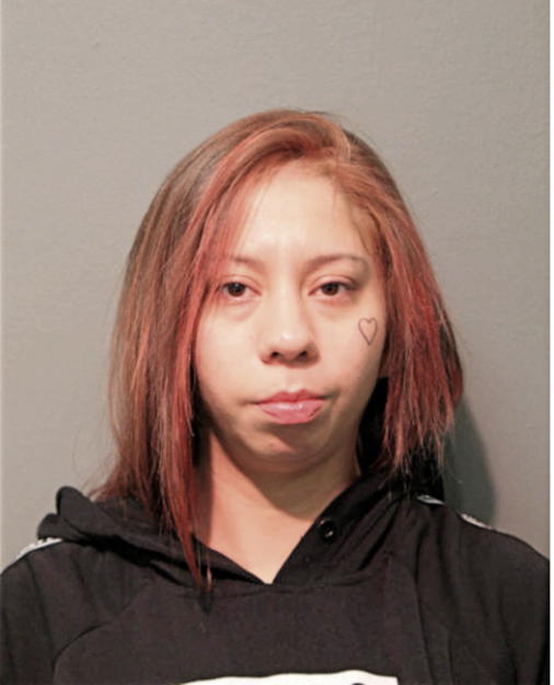 ELIZABETH A OBERLIN, Cook County, Illinois