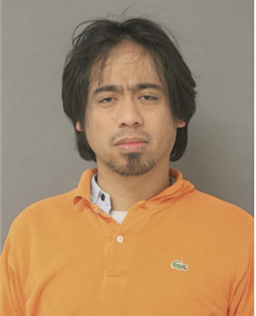 BASIL J RAYA, Cook County, Illinois