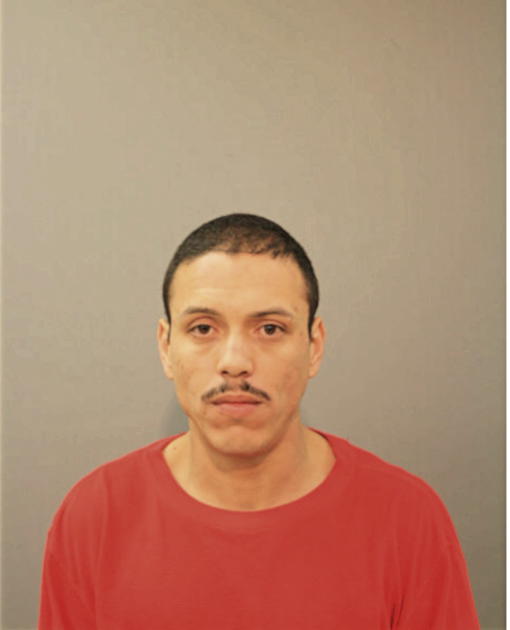 BRIAN M RIVERA, Cook County, Illinois