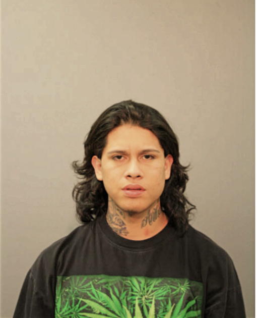 MARCO A TAVIRA, Cook County, Illinois