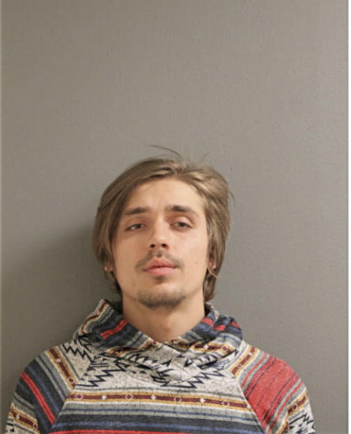 AARON ROBERT VAN CLEVE, Cook County, Illinois