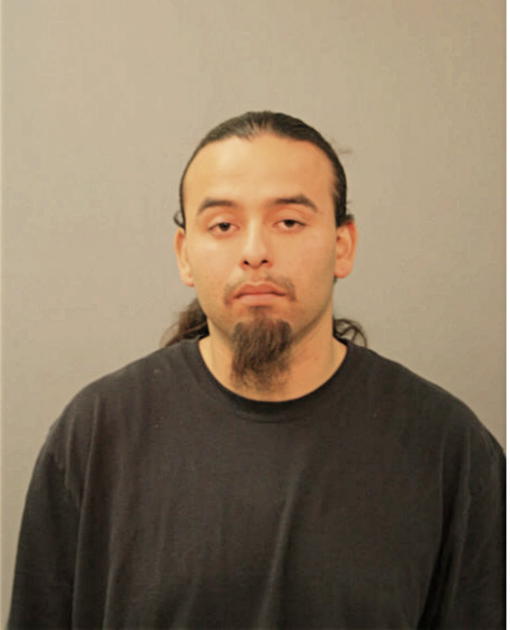JOSE A VARGAS, Cook County, Illinois
