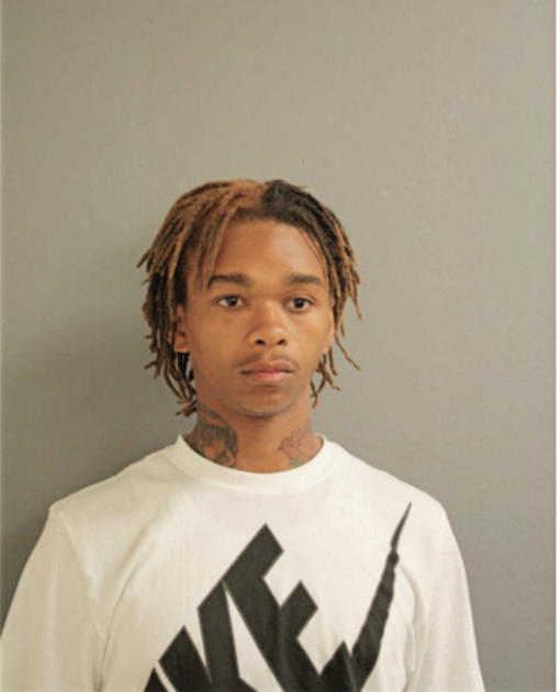 MICHAEL L WILLIAMS, Cook County, Illinois