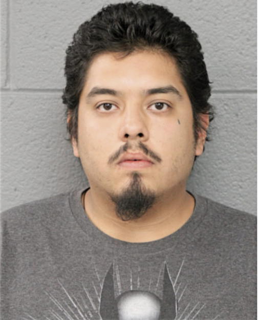 JULIAN ABEJA, Cook County, Illinois