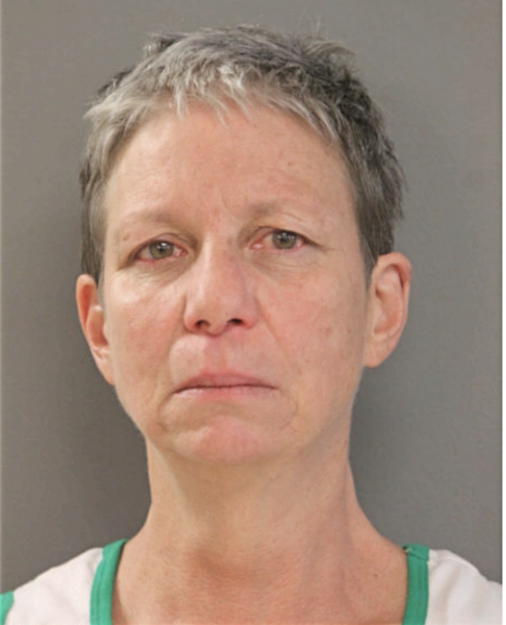MISCHELLE ADKINS, Cook County, Illinois