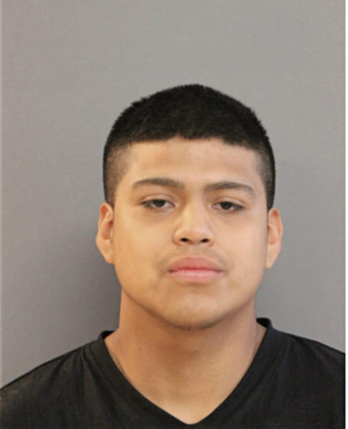 JOEL DOMINGUEZ, Cook County, Illinois