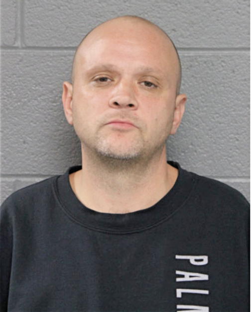 TIMOTHY A DOWNS, Cook County, Illinois