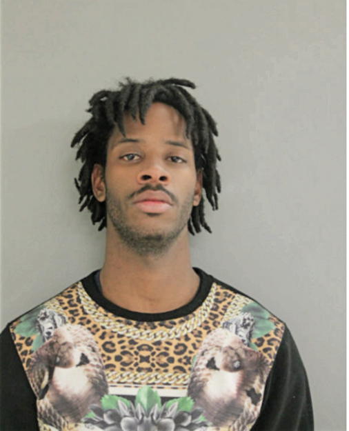 DEMARLO B DULANEY, Cook County, Illinois