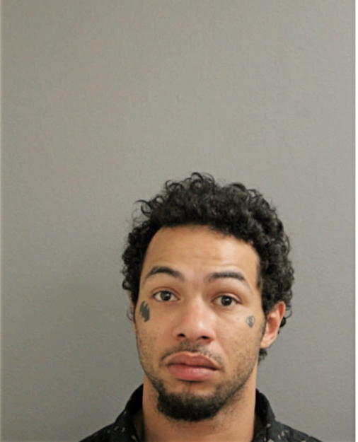 STEVE T GILES, Cook County, Illinois