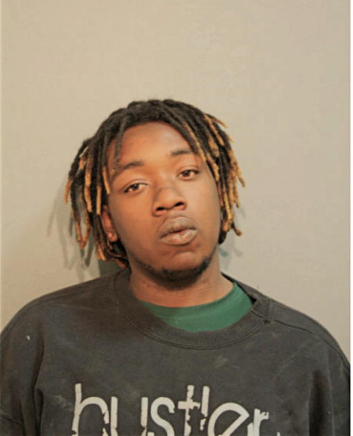 NATHANIEL J GILL, Cook County, Illinois