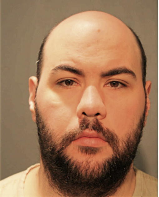 DANIEL E GRUNAUER, Cook County, Illinois