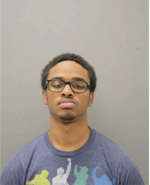 CHRISTIAN D JOHNSON, Cook County, Illinois