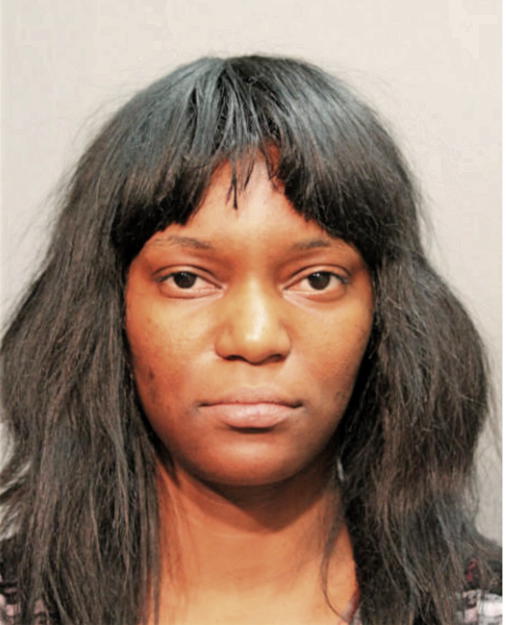 MELISSA A JOHNSON, Cook County, Illinois
