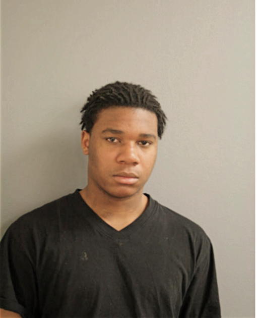 LOUIS T JONES, Cook County, Illinois