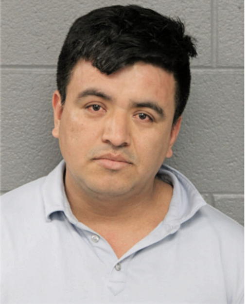 ECHEVERRIA MARTINEZ, Cook County, Illinois