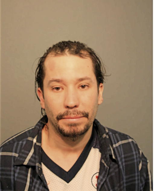 JESUS M MEDINA, Cook County, Illinois