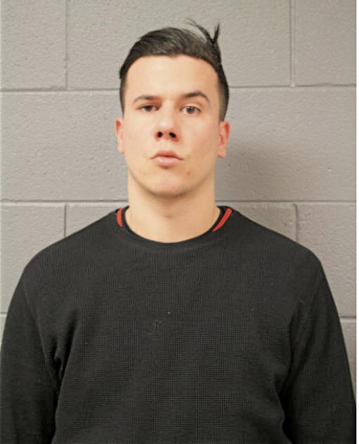 LUKA MICULINIC, Cook County, Illinois