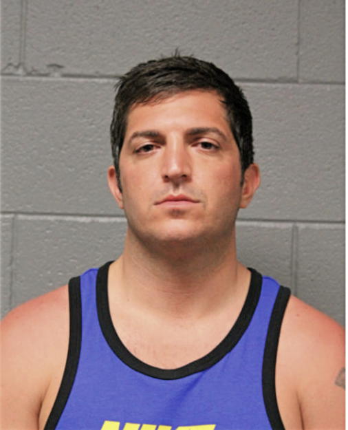 JAMES D PARRILLI, Cook County, Illinois
