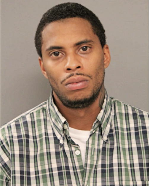 MICHAEL E RODGERS, Cook County, Illinois