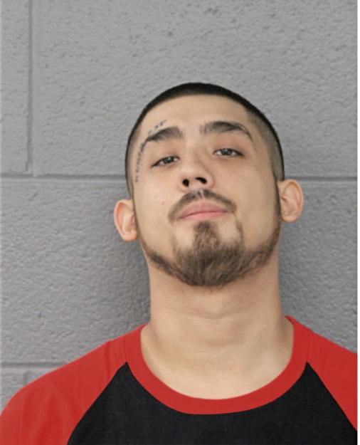 MICHAEL A RODRIGUEZ, Cook County, Illinois