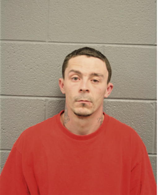 BRANDON E SWAFFORD, Cook County, Illinois