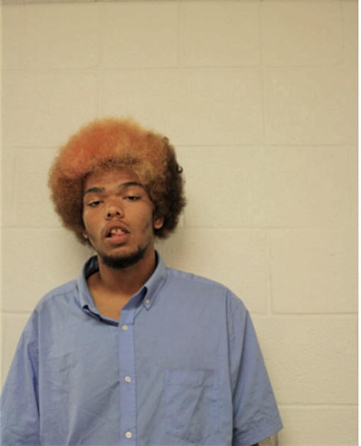 ZACHARY SWANIGAN, Cook County, Illinois
