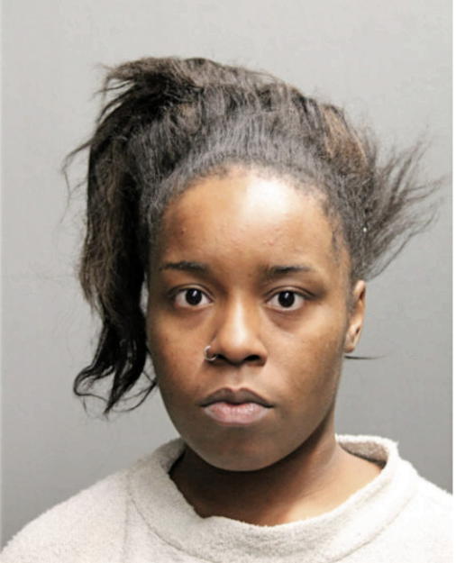 BRIANNA L TODD, Cook County, Illinois