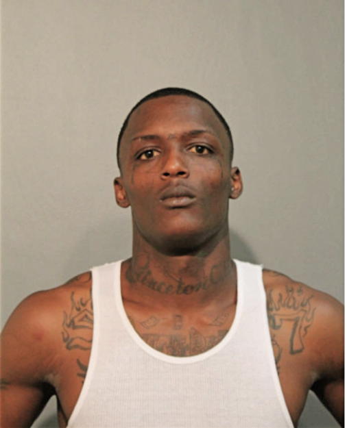 CHRISTOPHER D WATSON, Cook County, Illinois