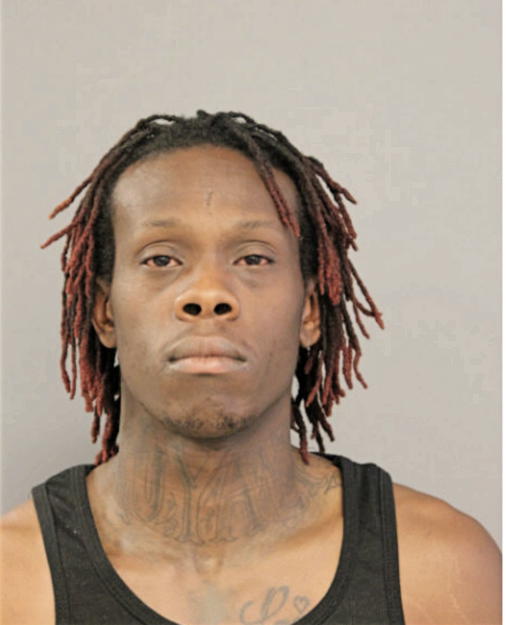 RL GLENN XAVIER SELVIE, Cook County, Illinois