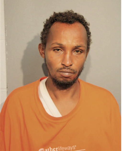 SAID ABDI, Cook County, Illinois