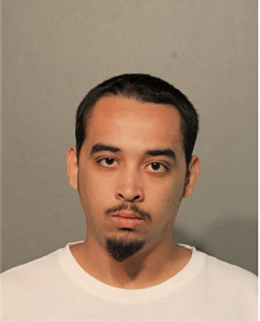 CHARLES WILLIAM ADAMS, Cook County, Illinois