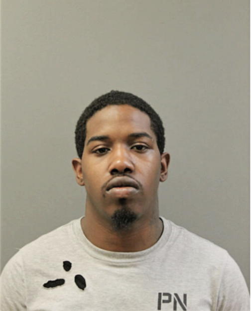 JOHNNY P BENION, Cook County, Illinois