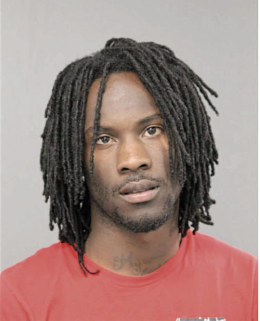 TERRANCE C BRAND, Cook County, Illinois