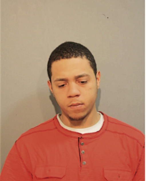 GREGORY N BRANDON, Cook County, Illinois