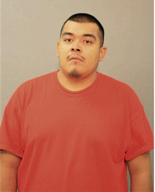 ALEX DELGADO, Cook County, Illinois