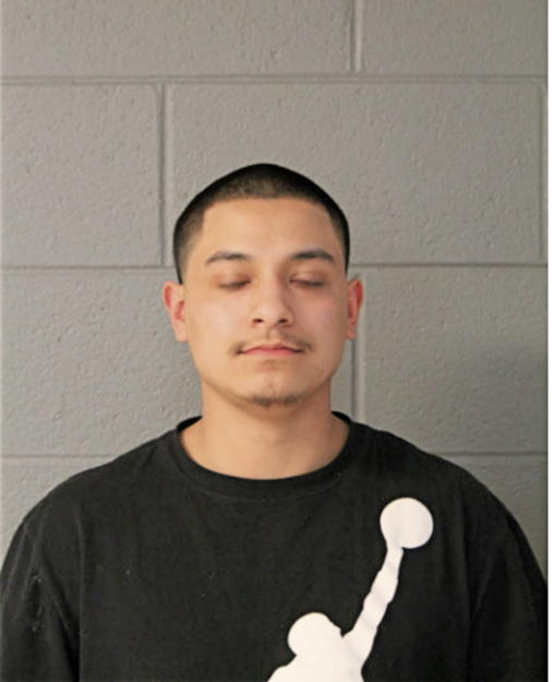 ANTHONY J FLORES, Cook County, Illinois