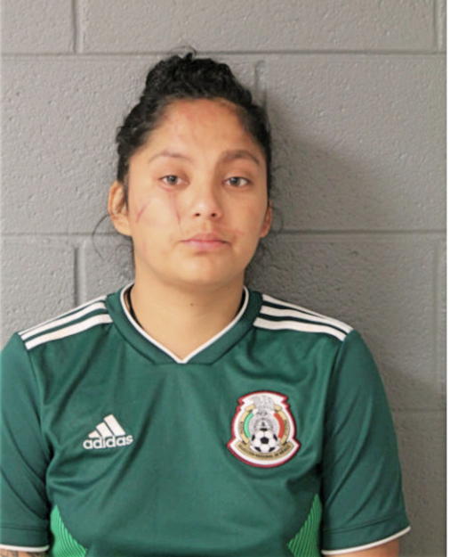 DIANA I GOMEZ, Cook County, Illinois