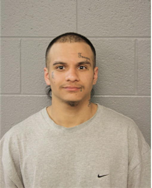 EFRAIN R GONZALEZ, Cook County, Illinois