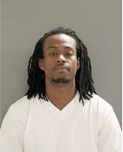 RONALD M HICKS, Cook County, Illinois