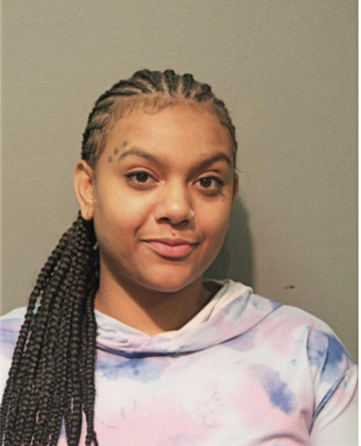 BRIANA JOHNSON, Cook County, Illinois