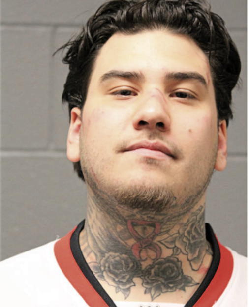 LUIS A LOPEZ, Cook County, Illinois