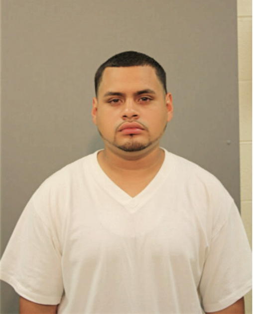 MARIO J MENDOZA, Cook County, Illinois
