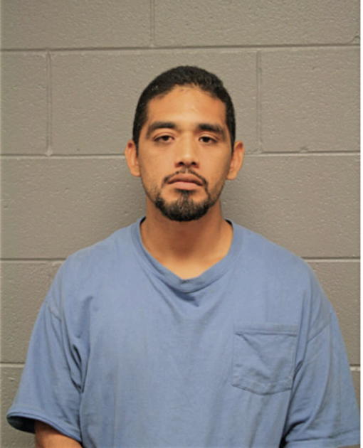 DAVID NAJERA, Cook County, Illinois