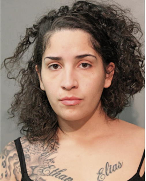 YANESSA NEGRON, Cook County, Illinois