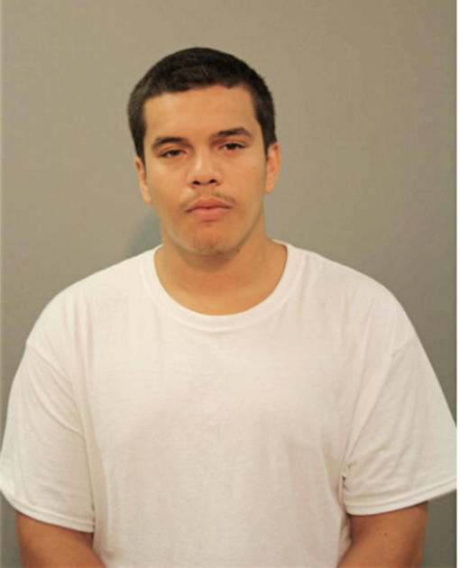 CARLOS A OCAMPO, Cook County, Illinois
