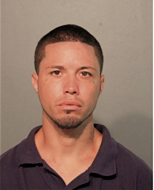 CARLOS ORTIZ, Cook County, Illinois