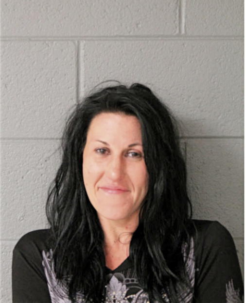 JORIE A VANDERMOLEN, Cook County, Illinois