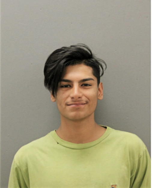 KRISTIAN R ARMENDARIZ, Cook County, Illinois