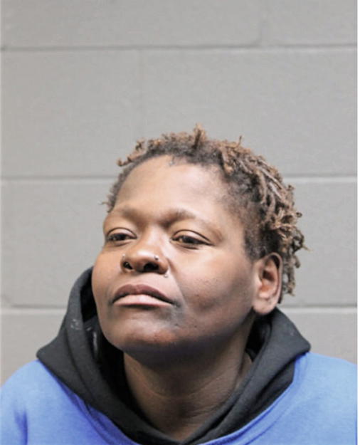 LISA L BOOSE, Cook County, Illinois